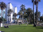 IMG00606-20100128-1523.jpg