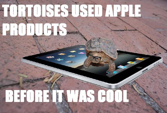 Turtles used apple products before it was cool