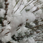 image23.jpg