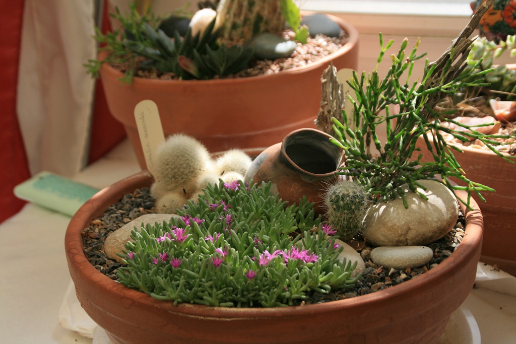 [IMG_6792%255B4%255D.jpg]