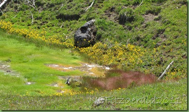 HotSpring(b) HotSpring(b)