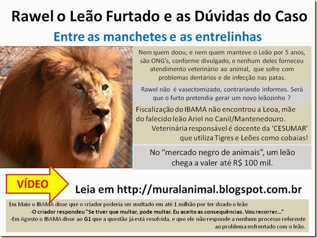 rawell_leao_furtado rawell_leao_furtado
