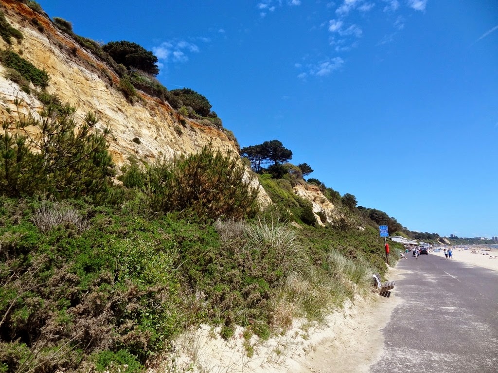 [DSC06385%2520%25281300x974%2529%255B4%255D.jpg]