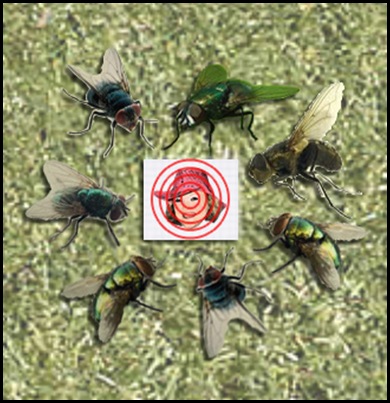 Fly Army Planning