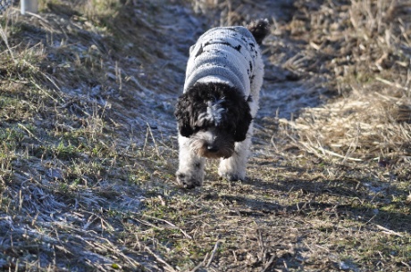 DSC_0123.jpg DSC 0123