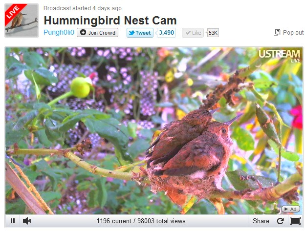 [hummer%255B3%255D.jpg]