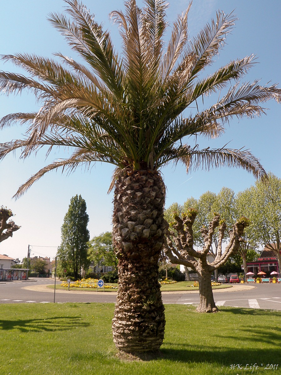 [P4152069%255B4%255D.jpg]