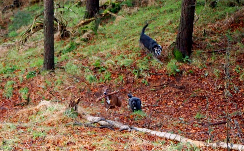 [2%2520Jan%25203%255B3%255D.jpg]