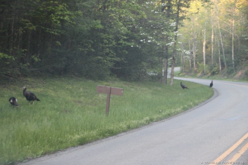 [IMG_0014-800x6002.jpg]