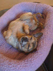 They remind us to stretch and do yoga