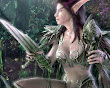 Elf Fighter