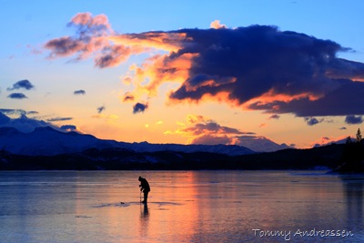 photoview_nordlandsfoto_IMG_7429 photoview_nordlandsfoto_IMG_7429