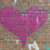 dsc01267.jpg