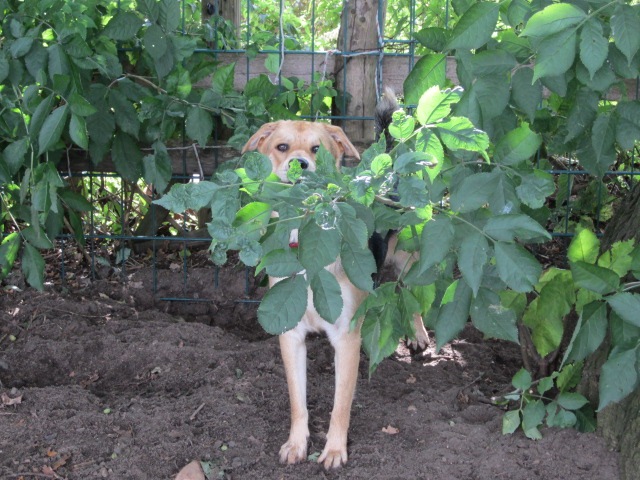 [IMG_0908%255B3%255D.jpg]