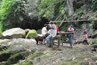 pinoyecofarm november_0067.JPG