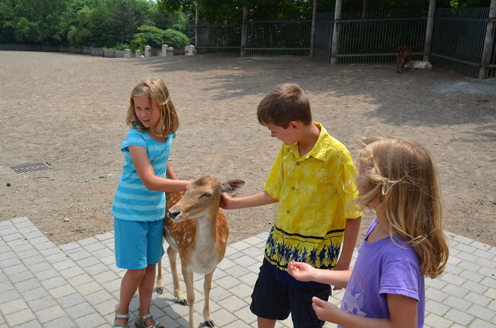 [DSC_1786%255B3%255D.jpg]