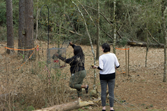 Hummingbird Trap Kleb Woods