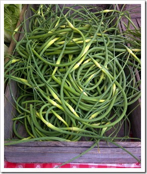 garlic scapes, mead orchard, rhinebeck farmers market