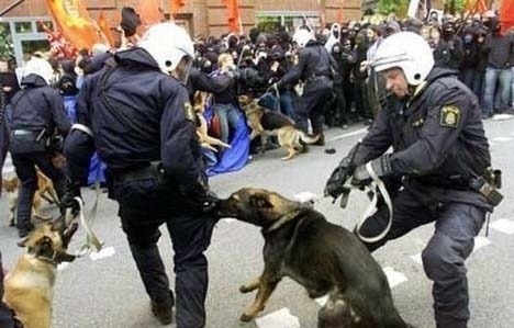 [perro%2520policia%255B4%255D.jpg]