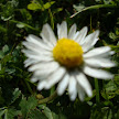 DSC00422.JPG