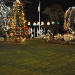 DSC_0074.JPG