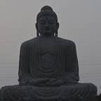 DSC_7783.jpg