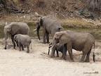 Tarangire Nationalpark