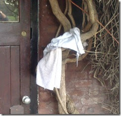 dog towels at double locks dog towels at double locks