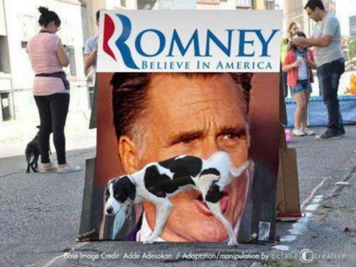 Dogs against Romney