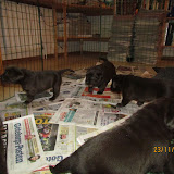 IMG_1460.JPG