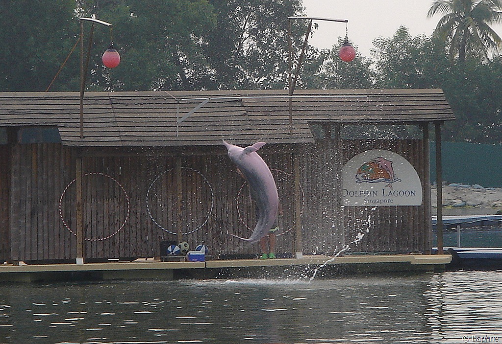 [DSC00292%255B6%255D.jpg]