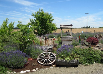 [IMG_0981%255B4%255D.jpg]