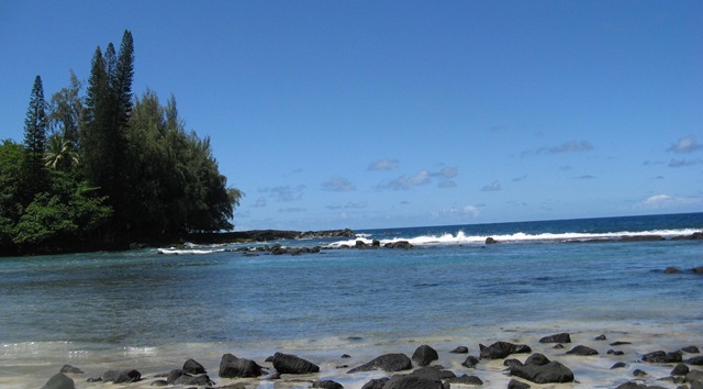 [IMG_7763cropped%255B2%255D.jpg]