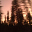IMAG0543.jpg
