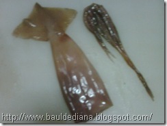IMG00137 IMG00137