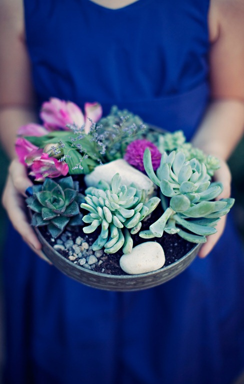 [27-clayton-austin-photo4.jpg]