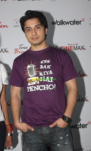 [alizafart6.jpg]