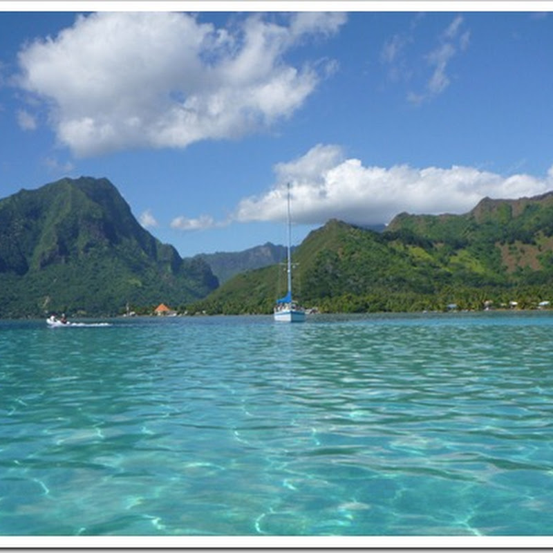 Logbook: Moorea (Opunohu Bay)