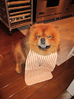 Problem solved!  A lobster bib.  I'm good to go!