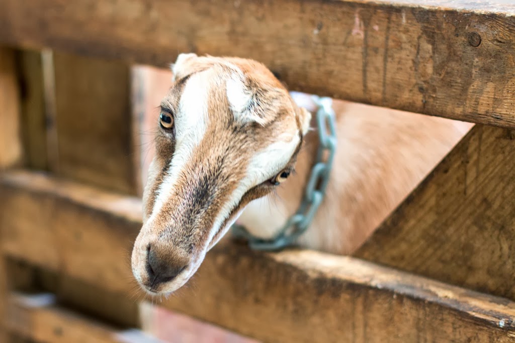 [IMG_0819%255B9%255D.jpg]