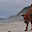 DSC_0322-2.jpg