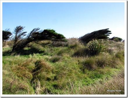 It gets very windy at Slope Point and Waipapa Point.