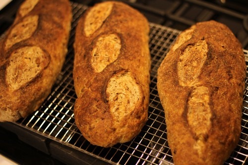 [rye-sourdough-pumpkin-sunflower-seeds_16%255B5%255D.jpg]