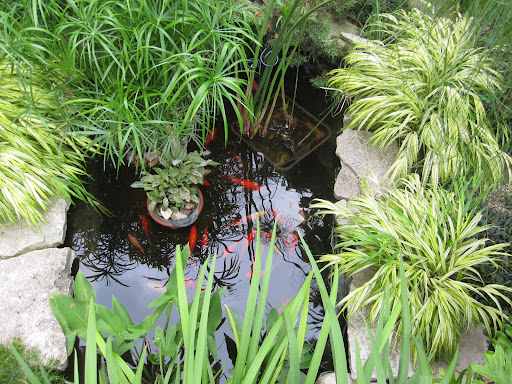 The koi pond offers the gentle sound of flowing water.