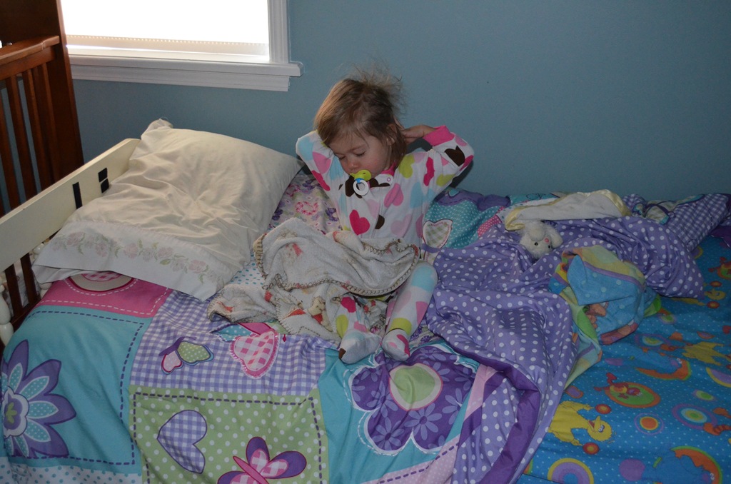 [DSC_0534%255B3%255D.jpg]