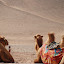 Flaming mountains -2 chameaux et dunes