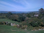Check out its backyard.