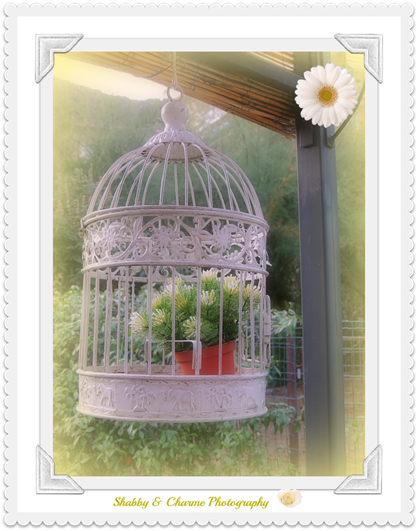 ilgiardino di Paola2 ilgiardino di Paola2