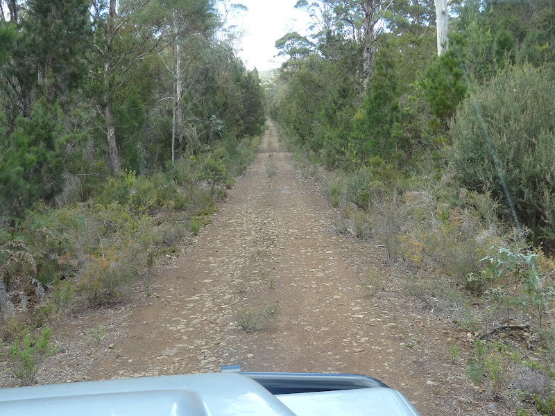 Tasmania SE Richmond to Bicheno on Forestry roads