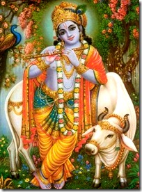 Lord Krishna